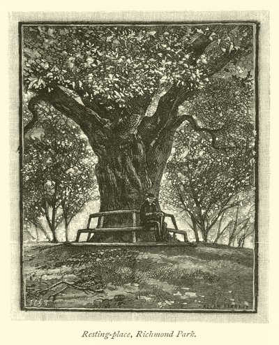 Rastplatz, Richmond Park von English School