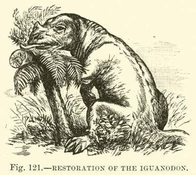 Rekonstruktion des Iguanodon von English School