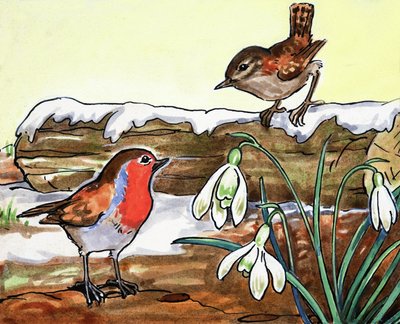 Rotkehlchen und Jenny Wren von English School