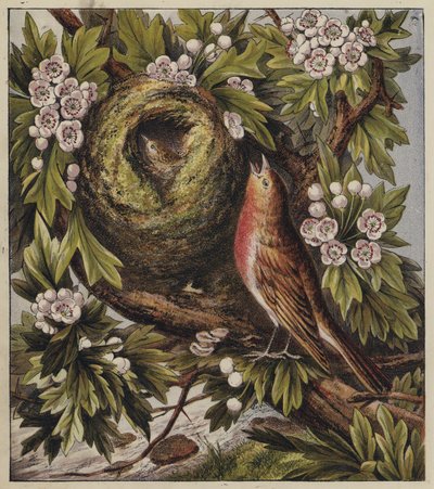Robins Weihnachtslied von English School