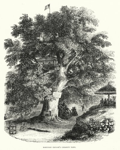 Robinson Crusoes Kastanienbaum von English School