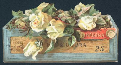 Rosen in Zigarrenkiste, Weihnachtskarte von English School
