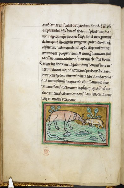 Ein großer und ein kleiner Elefant in einem Bach voller Fische von English School