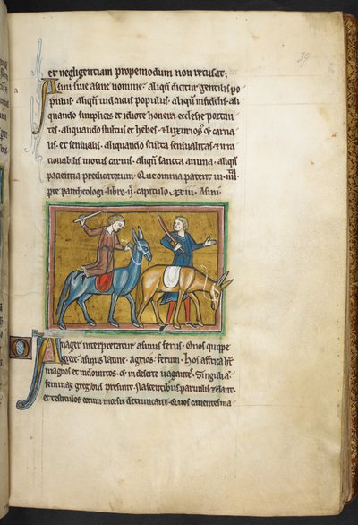 Zwei Männer mit zwei Eseln, aus Bestiarium (ff. 3-141), Lapidarium (ff. 141v-149), 2. Viertel des 13. Jahrhunderts von English School