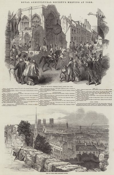 Treffen der Royal Agricultural Society in York (Stich) von English School