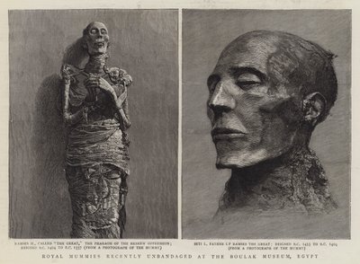 Königliche Mumien, kürzlich im Boulak-Museum, Ägypten, entbandagiert (Gravur) von English School