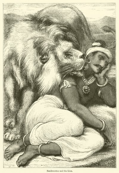 Sandrocottus und der Löwe von English School