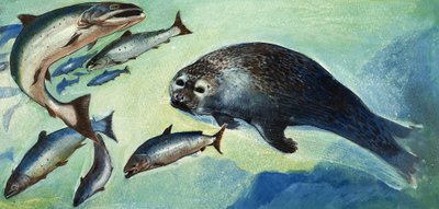 Robbe und Fisch von English School