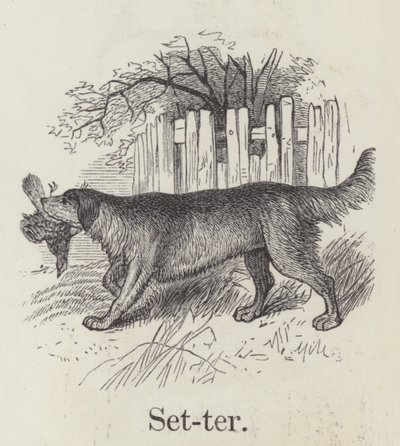 Setter (Gravur) von English School