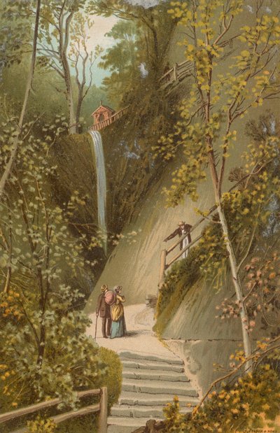 Shanklin Chine--Isle of Wight von English School