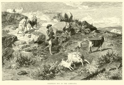 Hirtenjunge in der Campagna von English School