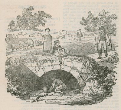 Shepherds Well, Hampstead von English School