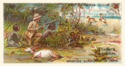 Schwarzwildjagd in Indien von English School