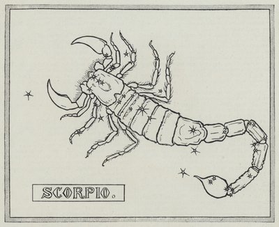 Sternzeichen: Skorpion (Gravur) von English School