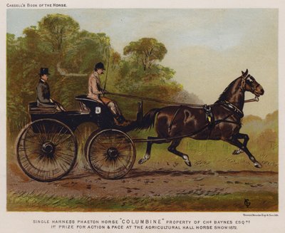 Einspänner Phaeton Pferd "Columbine," Eigentum von Charles Baynes Esq von English School