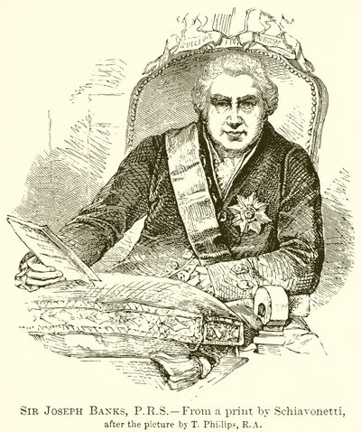 Sir Joseph Banks von English School