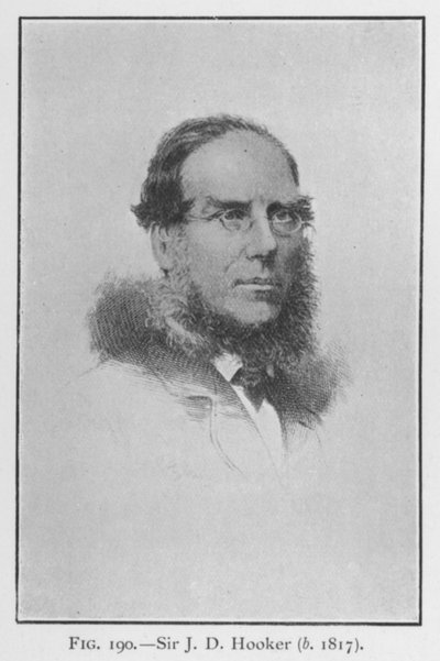 Sir Joseph Dalton Hooker (1817-1911), Porträt von English School