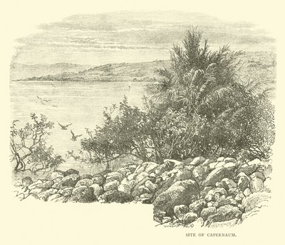 Stätte von Kapernaum von English School