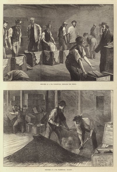 Skizzen in einem Teelagerhaus (Stich) von English School