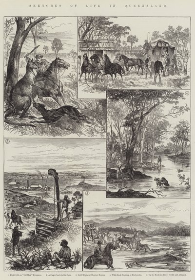 Skizzen aus dem Leben in Queensland von English School
