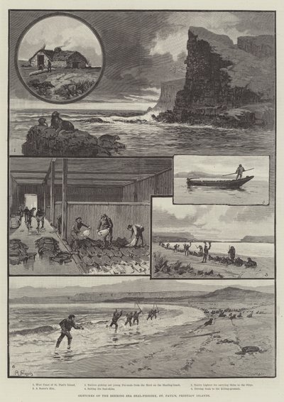 Skizzen der Beringsee-Robbenfischerei, St. Pauls, Pribylov-Inseln von English School