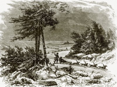 Schlitten und Hunde am Amur von English School