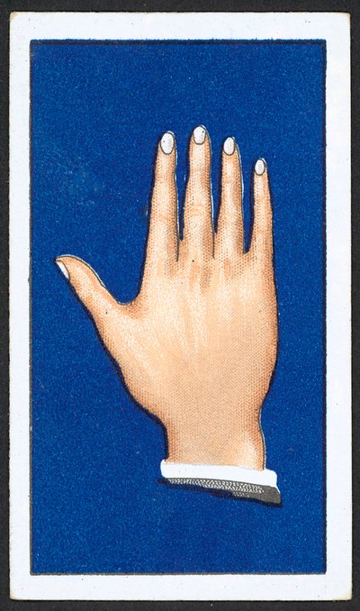 Glatte spitze Fingerhände von English School