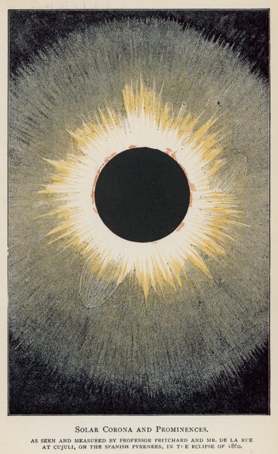 Sonnenkorona und Protuberanzen, wie von Professor Pritchard und Herrn De La Rue gesehen und gemessen von English School