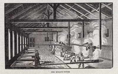 Zuckerproduktion (Gravur) von English School