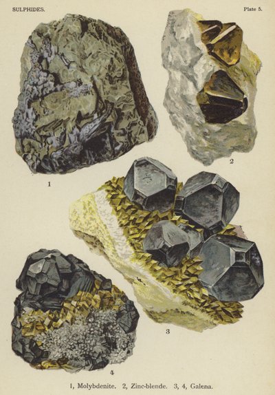 Sulfide, Molybdänit, Zinkblende, Galenit von English School