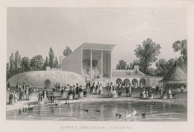 Surrey Zoological Gardens von English School