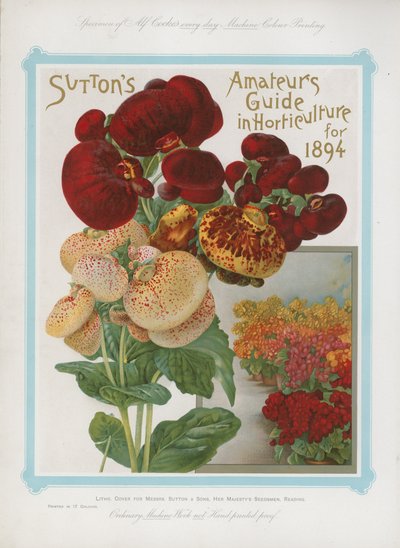 Suttons Amateurführer in der Gartenbaukunst für 1894 von English School