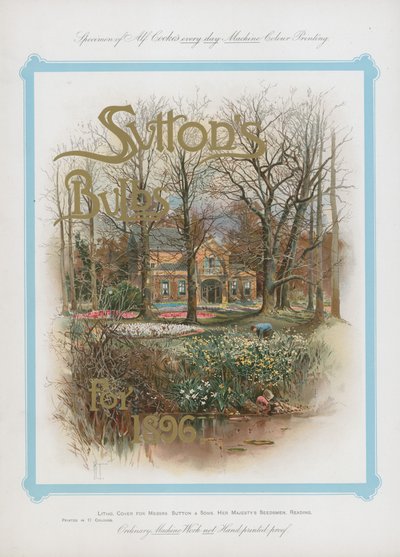 Suttons Zwiebeln für 1896 von English School