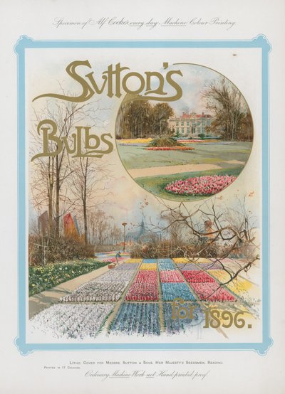 Suttons Zwiebeln für 1896 von English School