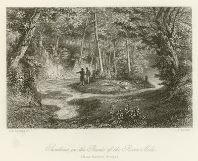 Schwalben in den Ufern des Flusses Mole, nahe Burford Brücke (Stich) von English School