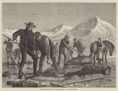 Schwedische Bauern "erkunden" nach Seenerz (Gravur) von English School