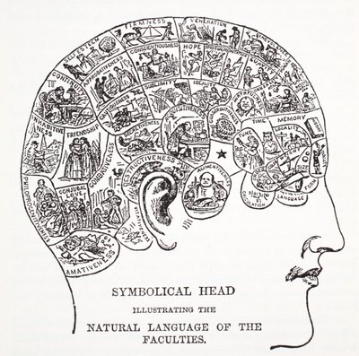 Symbolischer Kopf, der die natürliche Sprache der Fähigkeiten zeigt von English School