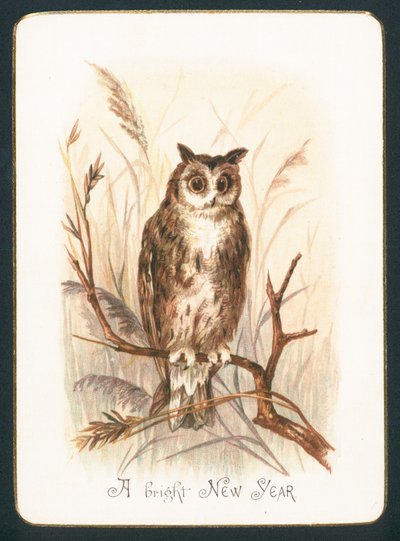Waldkauz, Neujahrskarte von English School