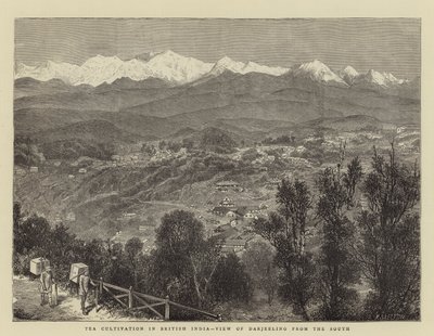 Teekultivierung in Britisch-Indien, Blick auf Darjeeling von Süden von English School