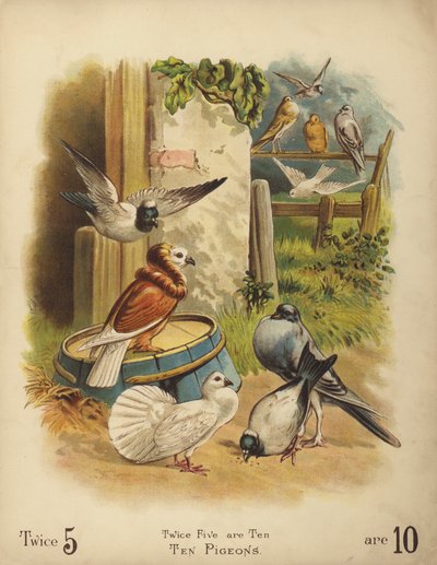 Zehn Tauben (Chromolithografie) von English School