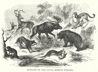 Mieter der oberen Hudson-Wälder (Gravur) von English School