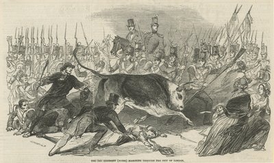 Das 3. Regiment (Buffs) marschiert durch die Stadt London von English School