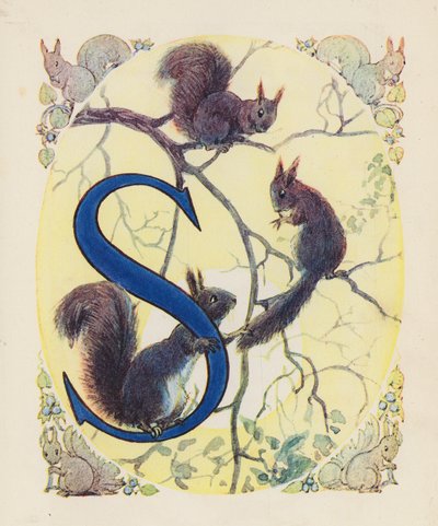 Das Tier-ABC: Buchstabe S, Eichhörnchen (Farblithographie) von English School