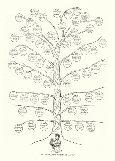 Der Barnardo „Baum des Lebens“ von English School