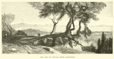 Die Bucht von Neapel von Camaldoli von English School
