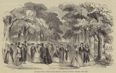 Der Broad Walk, Christ Church Meadows, Oxford, am Sonntagabend von English School