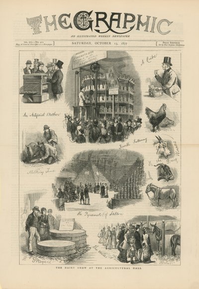 Die Milchviehschau in der Agricultural Hall von English School