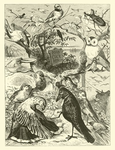 Der Tod und das Begräbnis von Cock Robin von English School