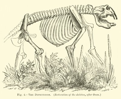 Der Diprotodon von English School