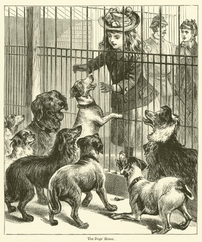 Das Hundeheim (Gravur) von English School